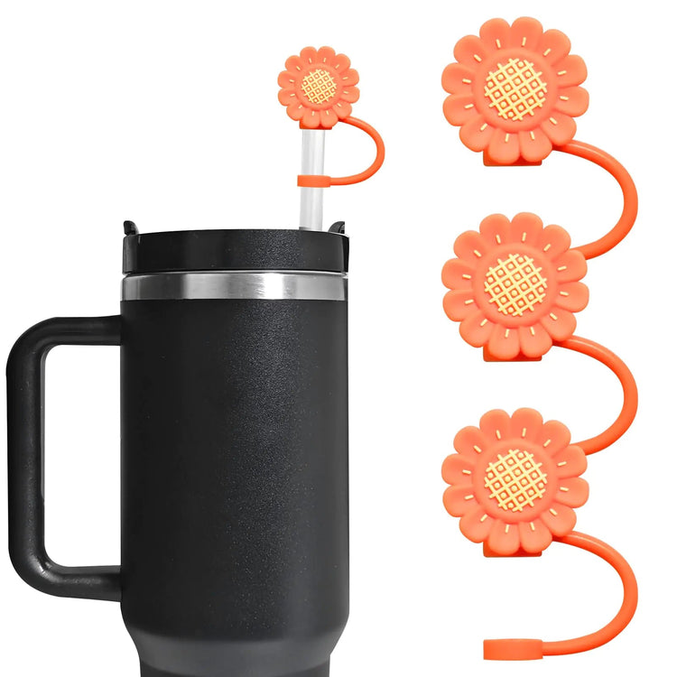 Apparel & Accessories